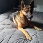 Marlene Fitzgerald - @marlene.fitzgerald.111 - Instagram