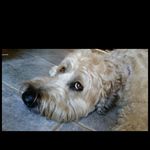 Marlene Fitzgerald - @marlenefitzgerald1 - Instagram