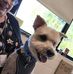 Marlene Mays Fitzgerald - Facebook