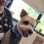 Marlene Mays Fitzgerald - @marlenemaysfitzgerald - Instagram