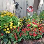 Marlene Fleming - @denandmar63 - Instagram