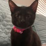 Marlene Fleming - @mar1210 - Instagram