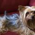 Marlene Franklin - Facebook