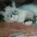 Marlene Gardner - Facebook