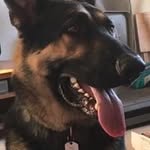 Marlene Gerber-Hess - @gerberhess - Instagram