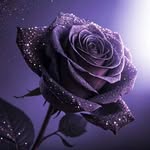 Marlene Kleinhans Gerber - @marlene.y.gerber - Instagram