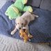 Marlene Gilliland - Facebook