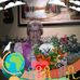 Marlene Gingerich - Facebook
