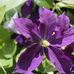 Marlene Gingerich - Facebook