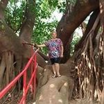 Marlene Giordano - @marlene.giordano.752 - Instagram