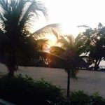 Marlene giordano - @mpradagucci - Instagram