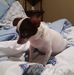 Marlena Gipson - Facebook