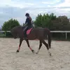 Marlène Goudard - @marlou_338 - TikTok