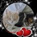 Marlene Goodenough - Facebook