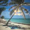 marlenegoode7 - @marlene.goode - TikTok