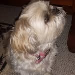 Marlene Graham - @marlene.graham.391 - Instagram