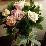 Marlene Grant - @marlene.grant.752 - Instagram