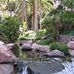 Marlene Griggs - Facebook