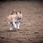 Marlene Gunnarsson - @gunnarsson.marlene - Instagram
