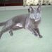 Marlene Guthrie - Facebook