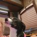 Marlene Haack - Facebook