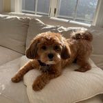 Marlene Harmon - @marleneharmon558 - Instagram