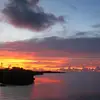 Marlene Harmon - @miamibeach0614 - TikTok