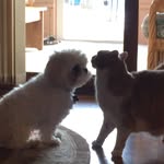 Marlee Ann Hartzell - @marlee_ann_ - Instagram
