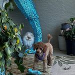 Marlene Hatch - @marlene.hatch - Instagram