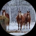 Marlene K. Hatch - @marlenek.hatch - Instagram