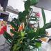 Marlene Heck - Facebook