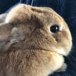 Marlene.heinz - @marlene.heinz - Instagram