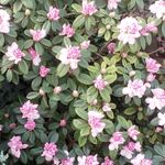 Marlene Gilde-Herbst - @mgherbst - Instagram