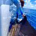 Marlene Hicks - Facebook