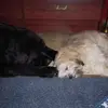 marlenehicks381 - @marlenehicks381 - TikTok