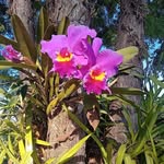 Marlene Hidalgo - @marlene.hidalgo.7583 - Instagram