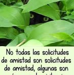 Marlene Hidalgo - Facebook