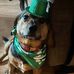 Marlene Higgins - Facebook