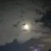 Marlene Higgins - @marlene.higgins0 - TikTok