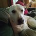 Marlene Hilliard - Facebook