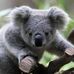Marlene Hinton - Facebook