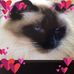 Marlene Hintz - Facebook