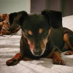 Marlena (Pop, Jasper, & Wilson) - @filterjasper - Instagram