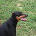 Marlene Kerr - Facebook