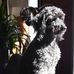 Marlene Klemenz - Facebook