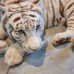 Marleen Kupper - @marleenkupper60 - Instagram