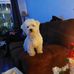 Marleen Lafleur - Facebook