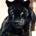 Marlene Lafleur - Facebook