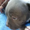 Marlene Lamothe - @marlene.lamothe - TikTok