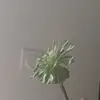 marlenelamothe - @marlenelamothe - TikTok